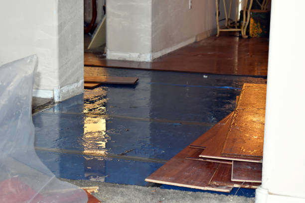 Professional Sewage Cleanup technician working in Maple, WI